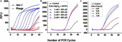 Small Molecular Contaminant and Microorganism Can Be Simultaneously Detected Based on Nanobody-Phage: Using Carcinogen Aflatoxin and Its Main Fungal Aspergillus Section Flavi spp. in Stored Maize for Demonstration